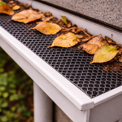 Grille de gouttières