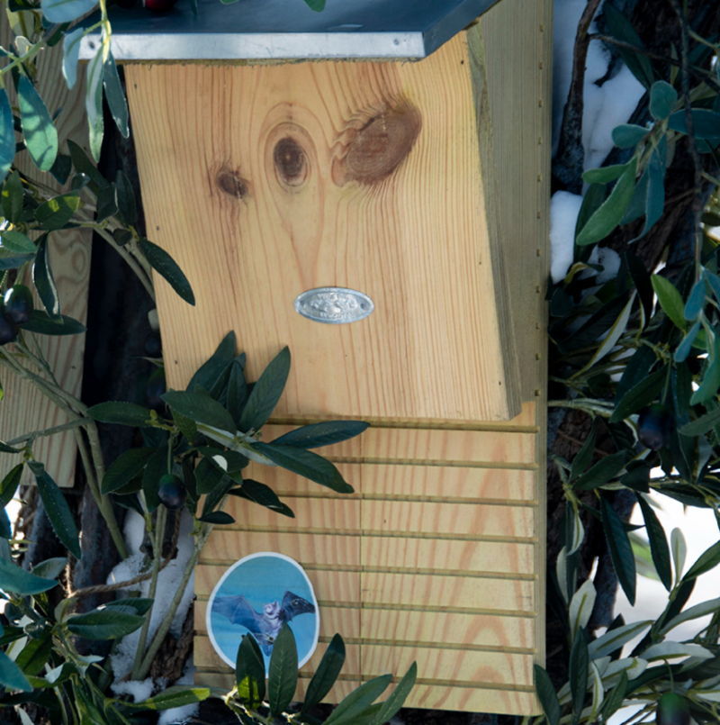 Nichoir à chauve souris