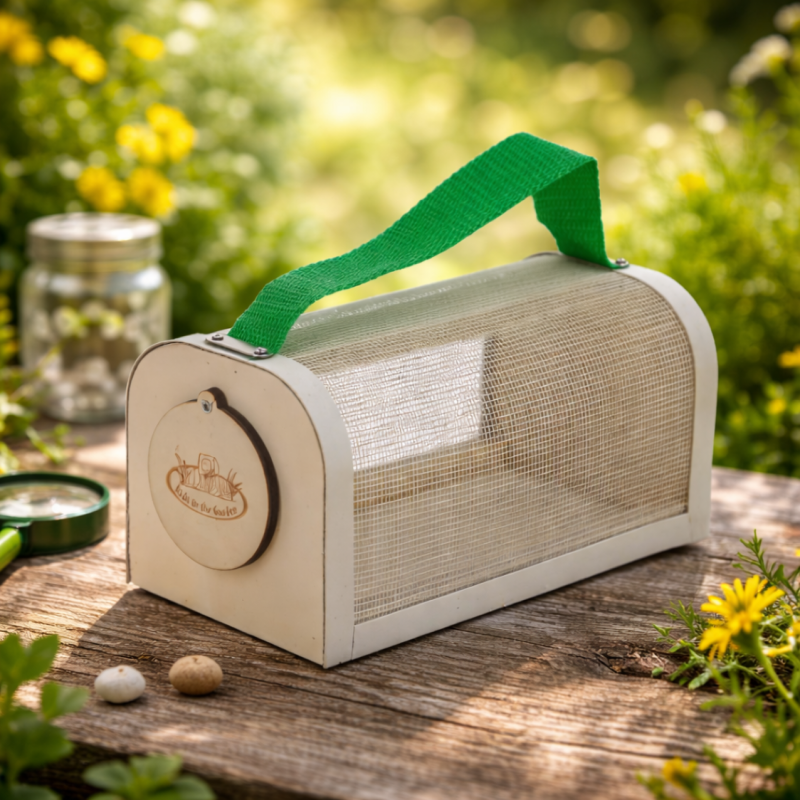 Boite à insectes / Grillons