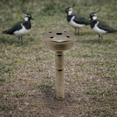 Appeau Sifflet Vanneau