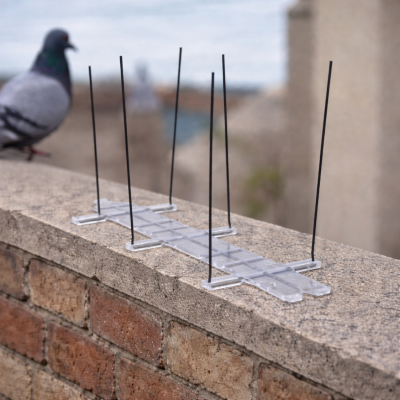 Pics Anti-Pigeons Lucifer